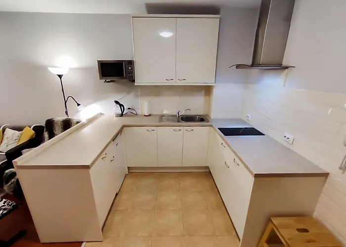 Apartament Gala 2bedroom 200m From Gondola