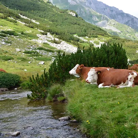 Appartement Gala 2bedroom 200m From Gondola *