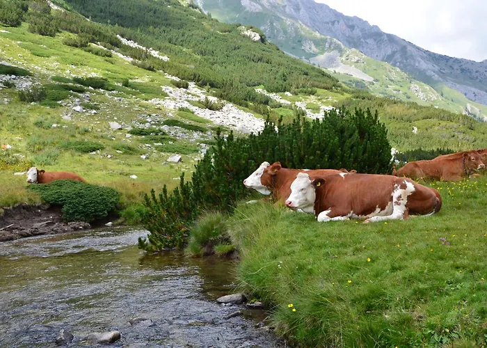 Apartment Gala 2bedroom 200m From Gondola *